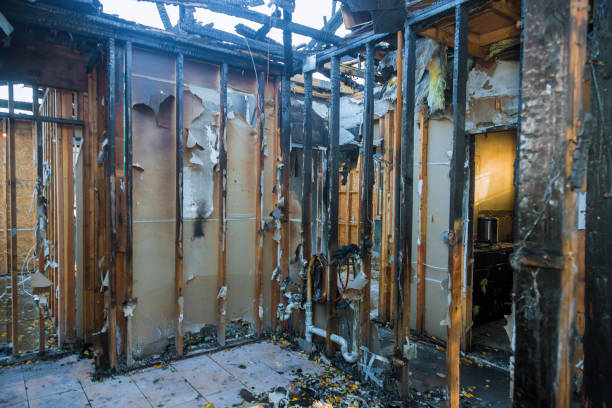 Professional Fire Damage Removal technician working in Dunnellon, FL